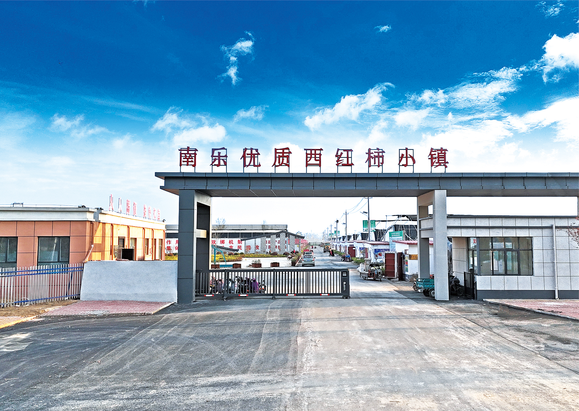 河南農(nóng)大南樂(lè)優(yōu)質(zhì)蔬菜研究中心